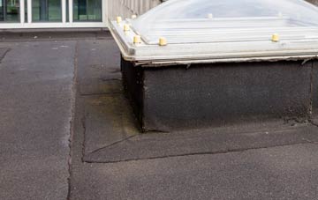 disadvantages of West Wylam flat roofs