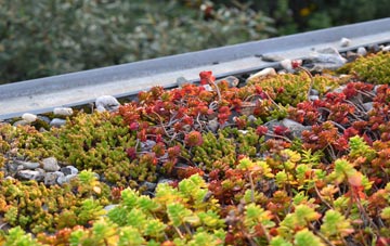 the cost of West Wylam green roof installation