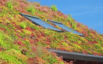 West Wylam living roof systems