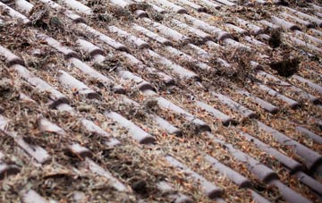 West Wylam roof cleaning companies