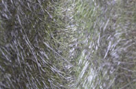 West Wylam fibreglass roof work